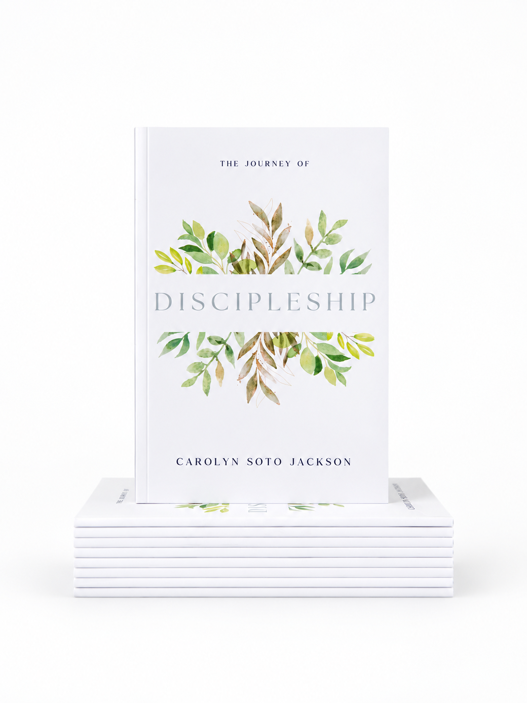 The Journey of Discipleship Book