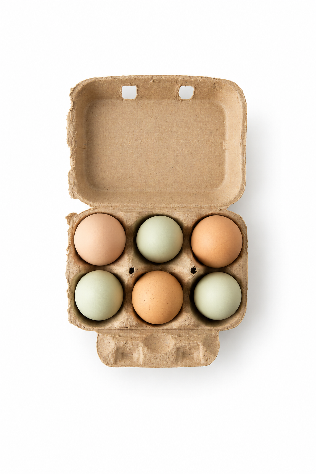 Farm Fresh Eggs